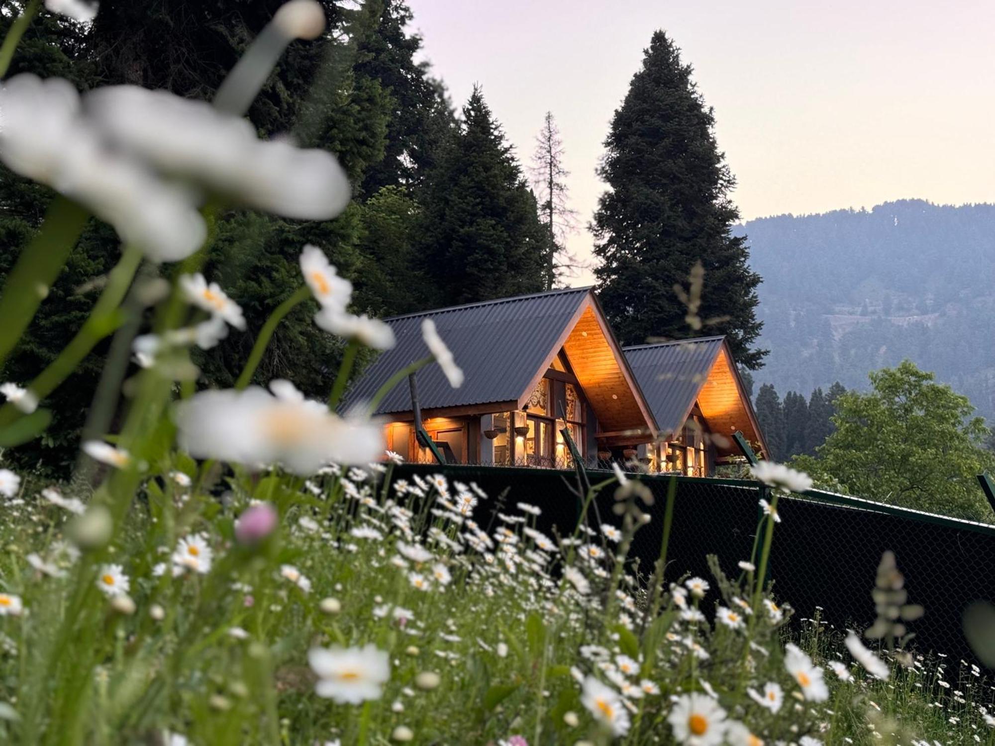Villa Solomons Gray à Tangmarg Extérieur photo